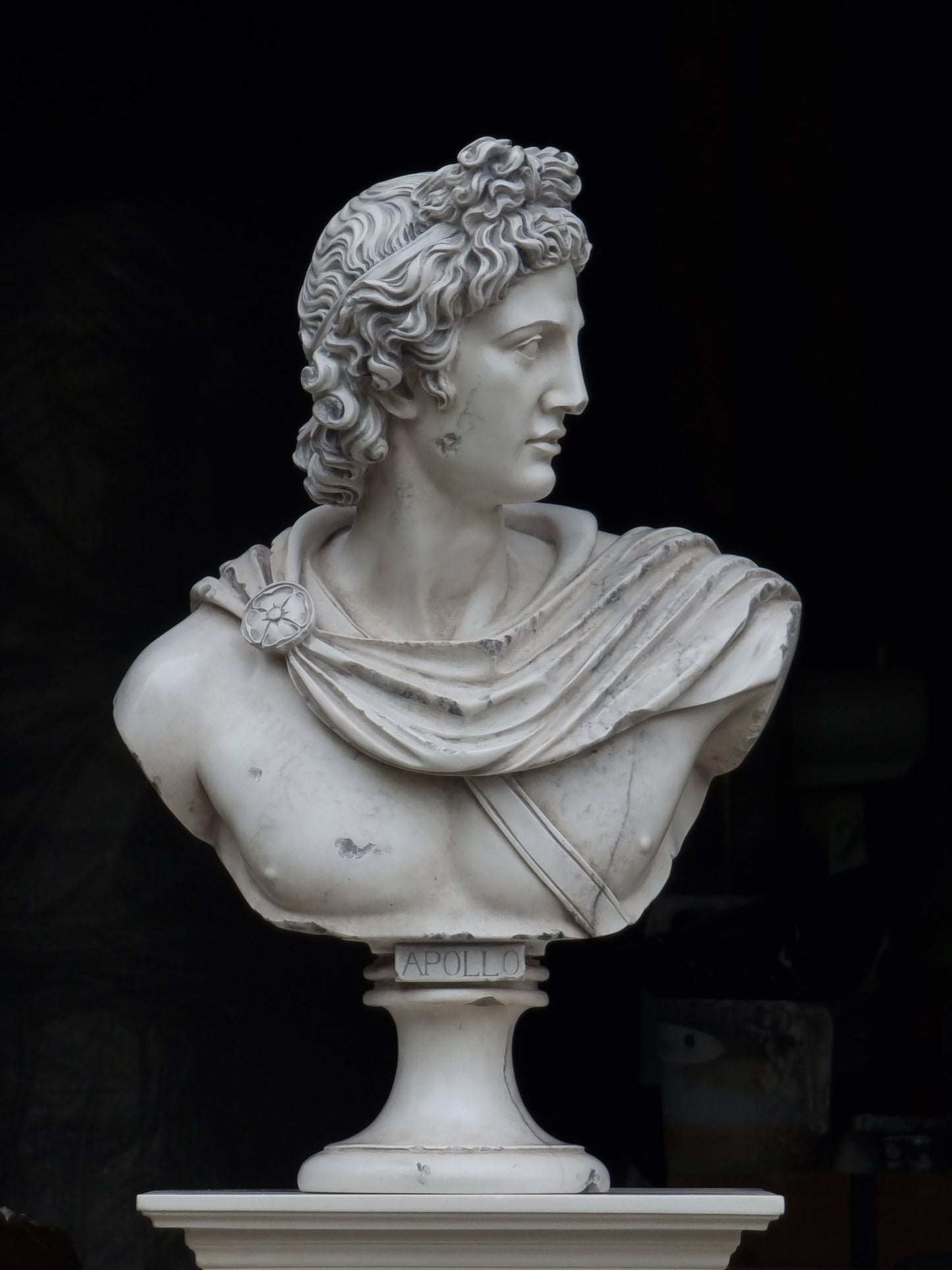 Apollo Belvedere Bust Lrg Antiquity Finish