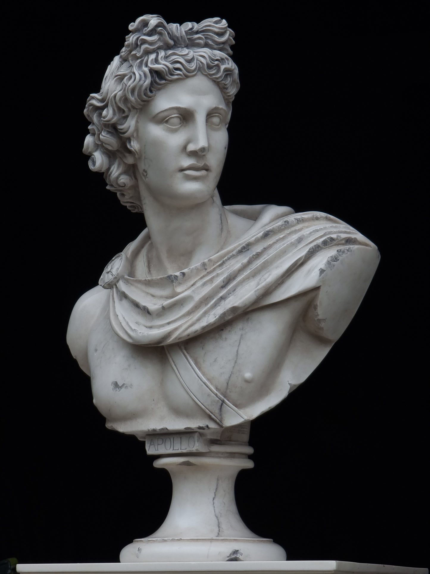 Apollo Belvedere Bust Lrg Antiquity Finish