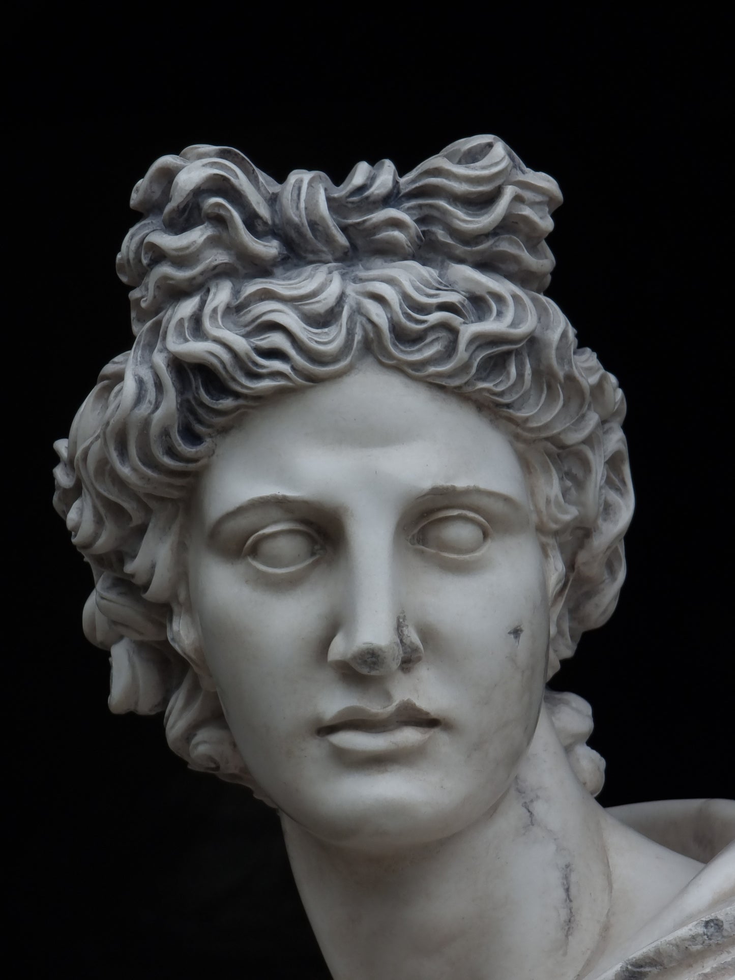 Apollo Belvedere Bust Lrg Antiquity Finish