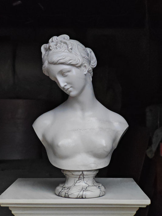 Venus bust finely finished