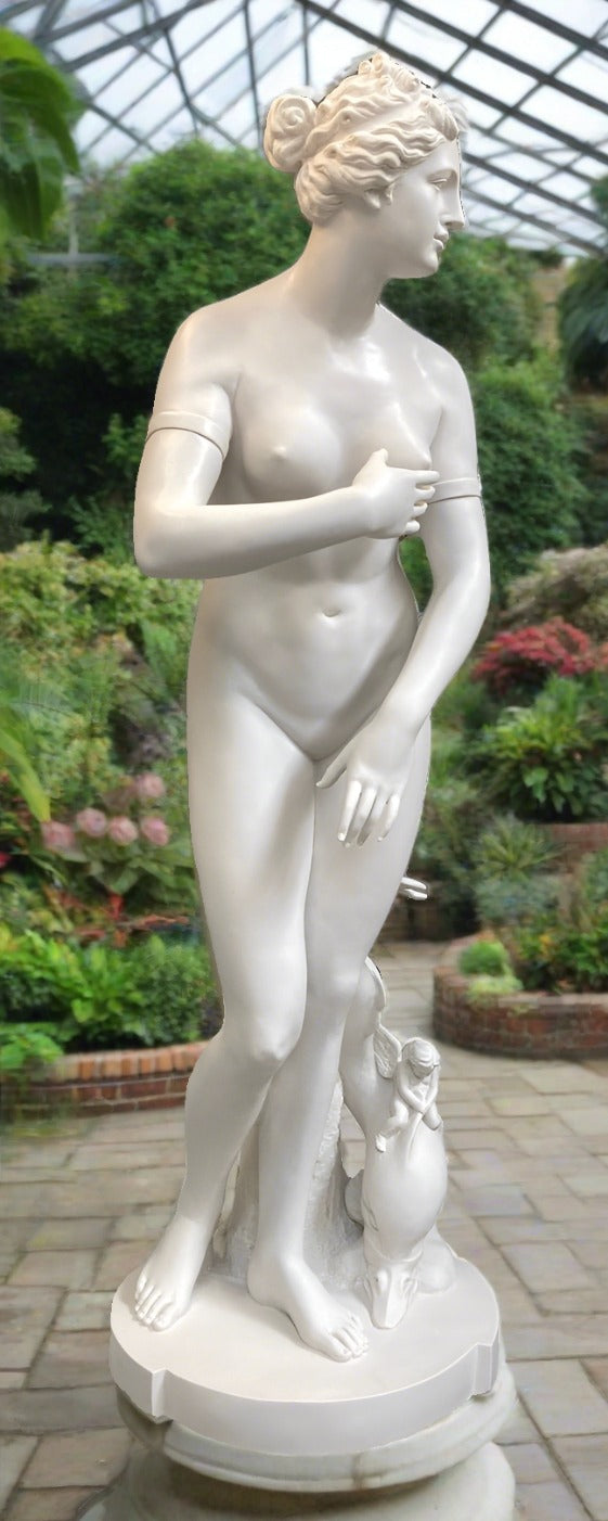 Medici Venus