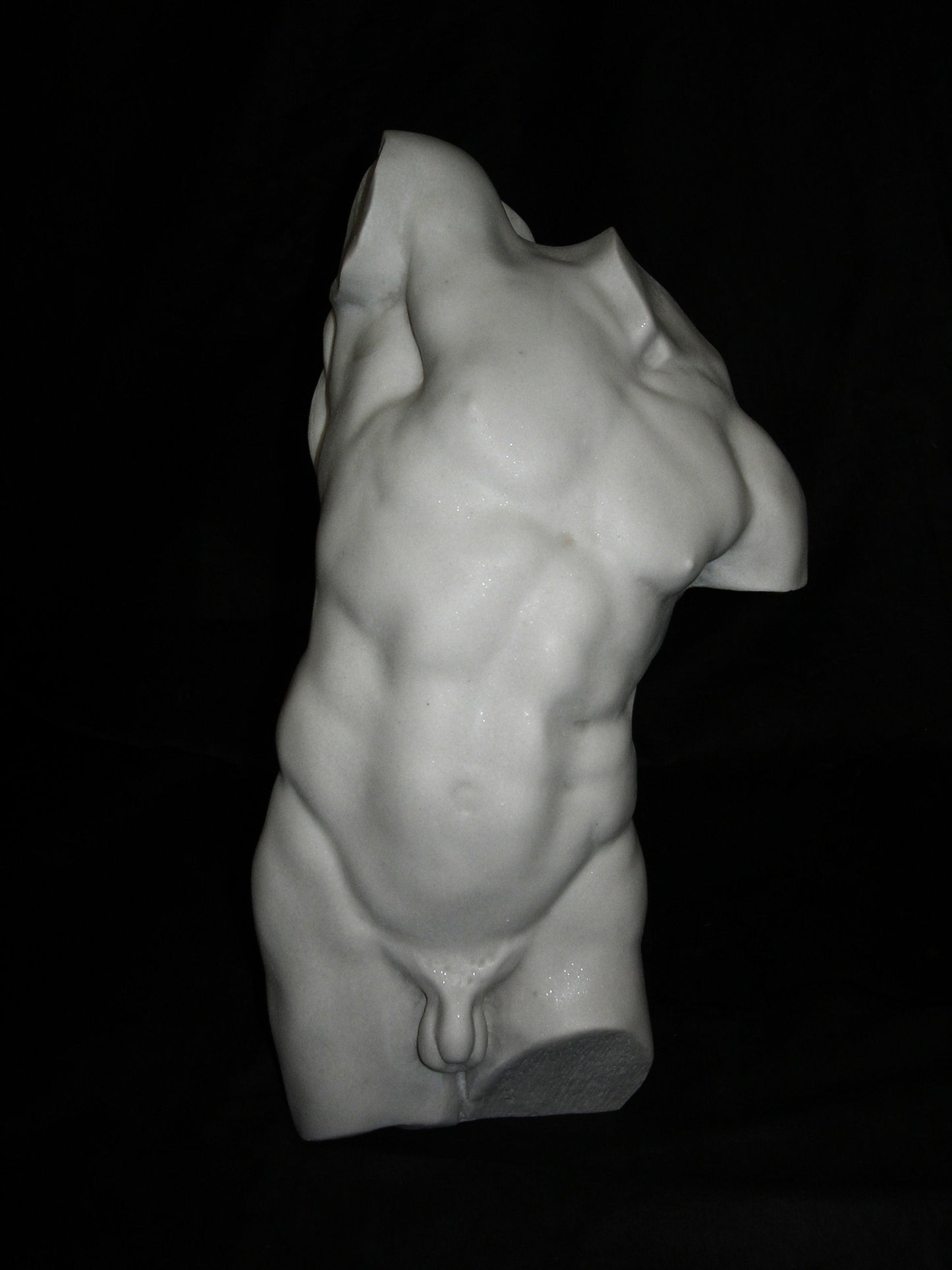 Study of a male torso