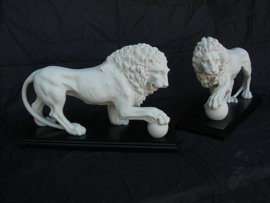 Medici & Vacca Lions