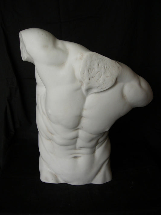 Male Torso Lrg